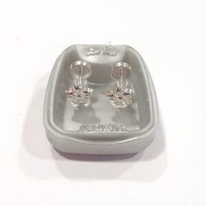 COD 5018 (14) Petunia.